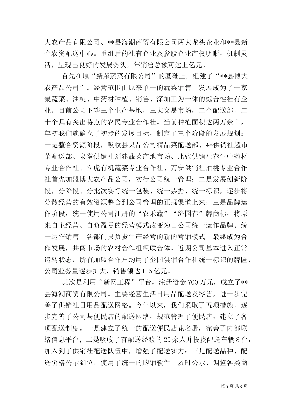 供销社2021年终工作总结_第3页
