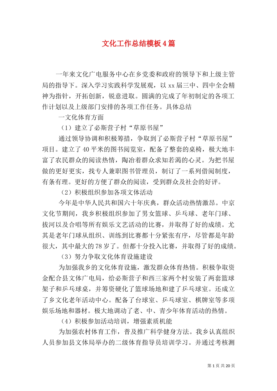 文化工作总结模板4篇_第1页