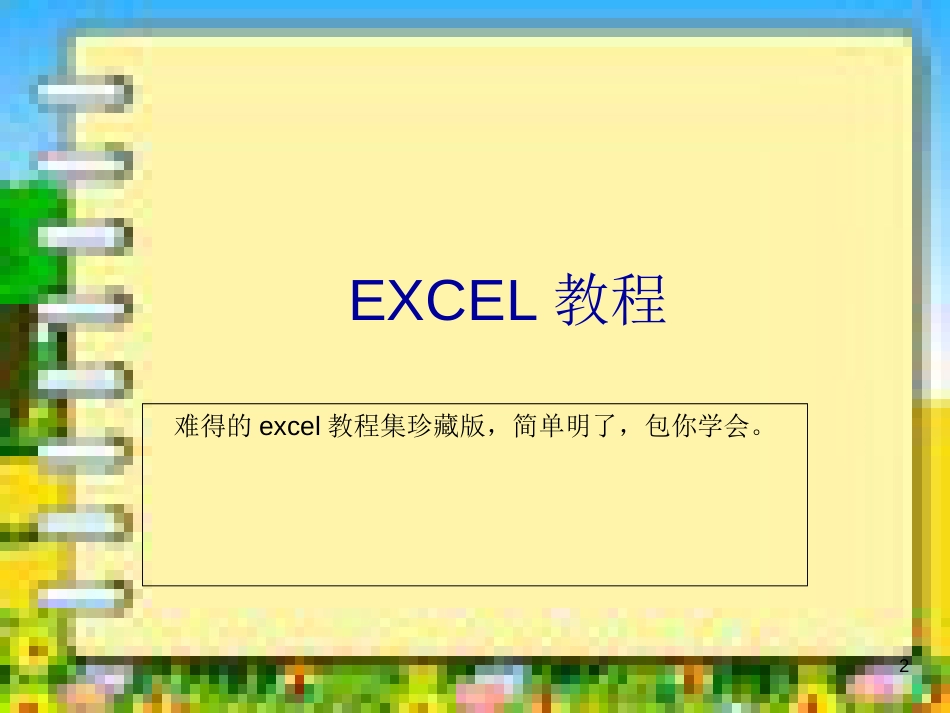 最牛无价EXCEL教程_第2页