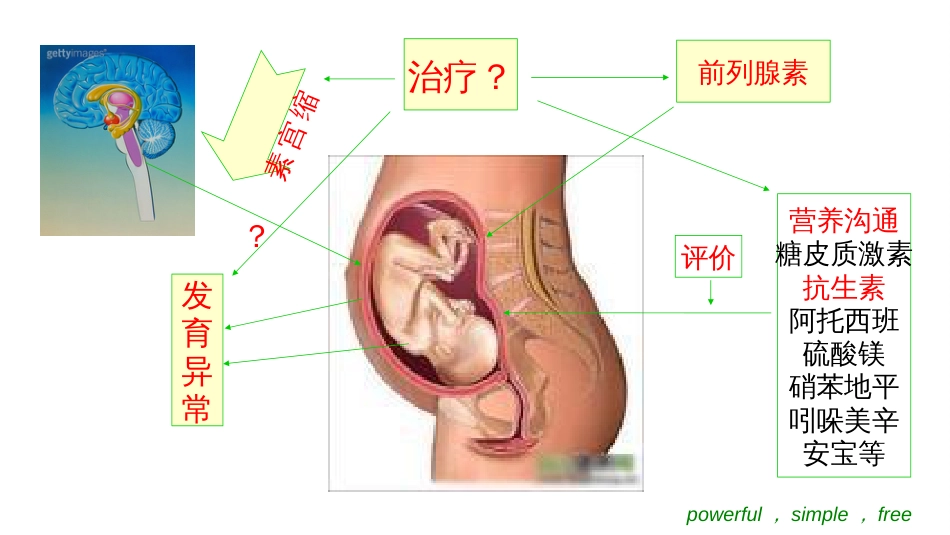 早产[共59页]_第3页