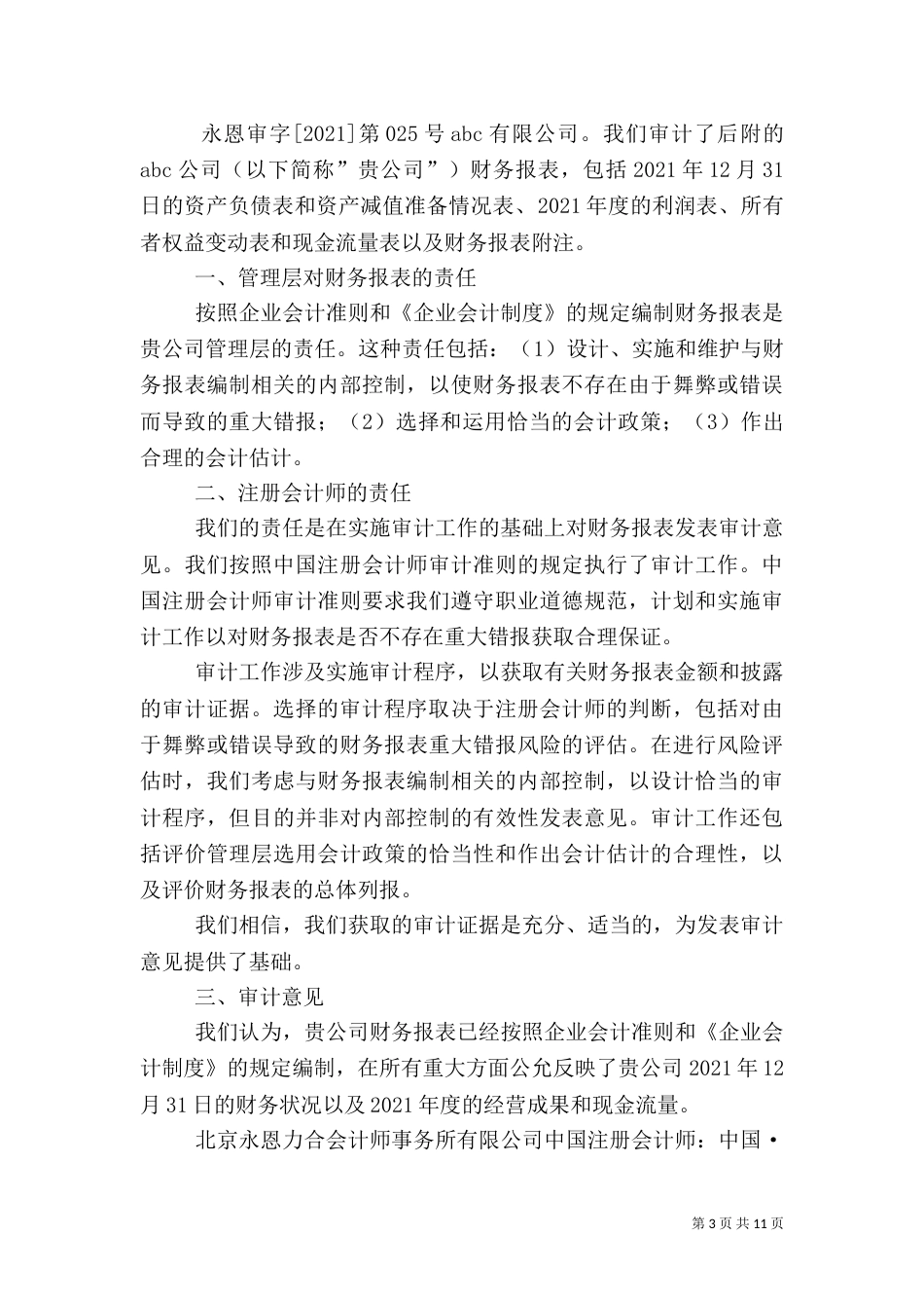 审计报告要求（三）_第3页