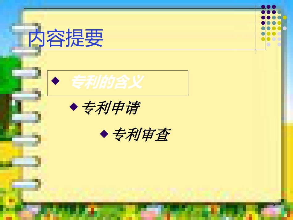 专利基础知识介绍1_第3页