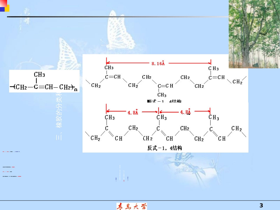 橡胶加工原理rubber[共66页]_第3页