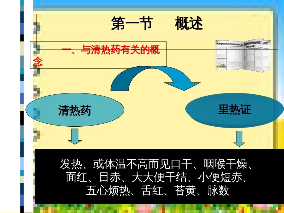 中药药理学-第6-清热药[共107页]_第2页