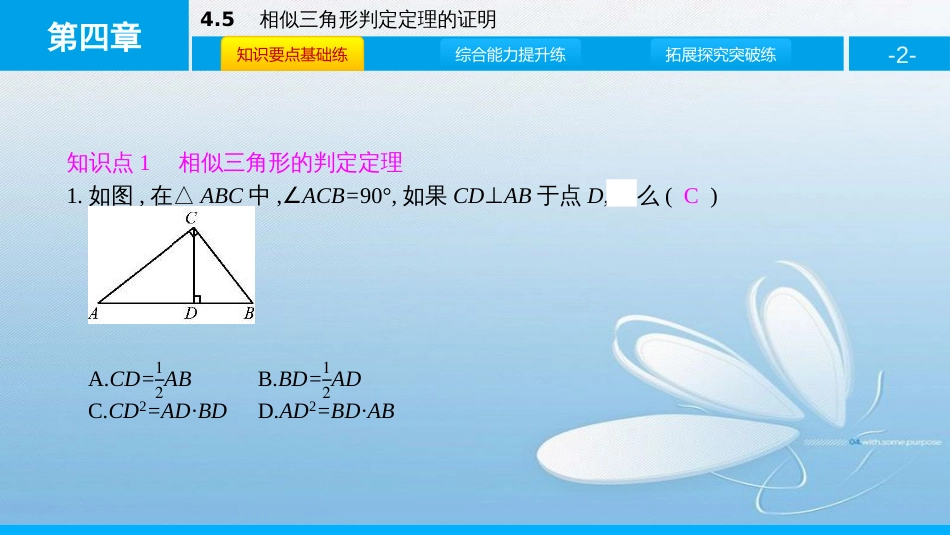 相似三角形判定定理的证明第四章图形的相似_第2页