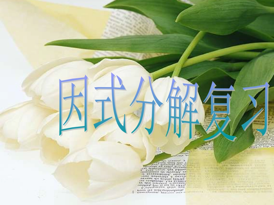 因式分解复习课件[共27页]_第1页