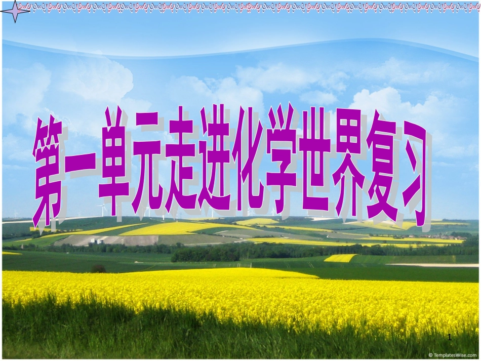 中考化学总复习[共427页]_第1页