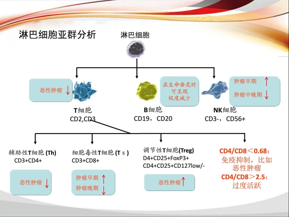 最新淋巴细胞亚群与肿瘤预后关系-药学医学精品资料_第3页