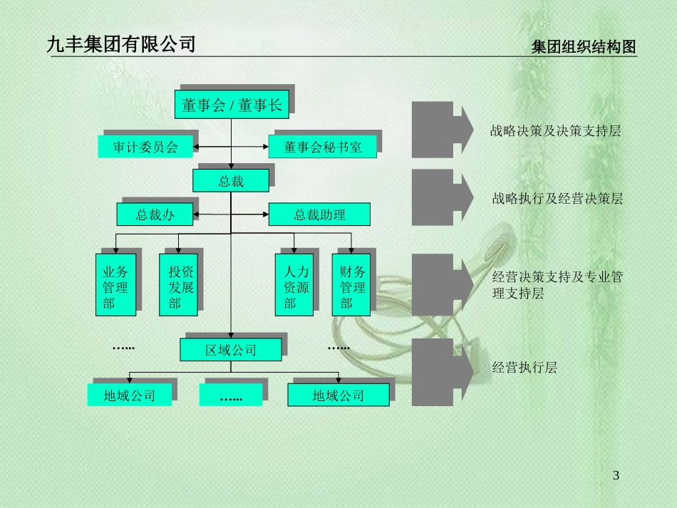 组织结构、功能设置、职位说明书[共56页]_第3页