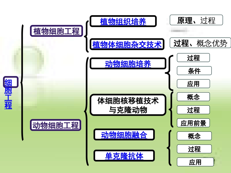 细胞工程二轮复习[共20页]_第2页