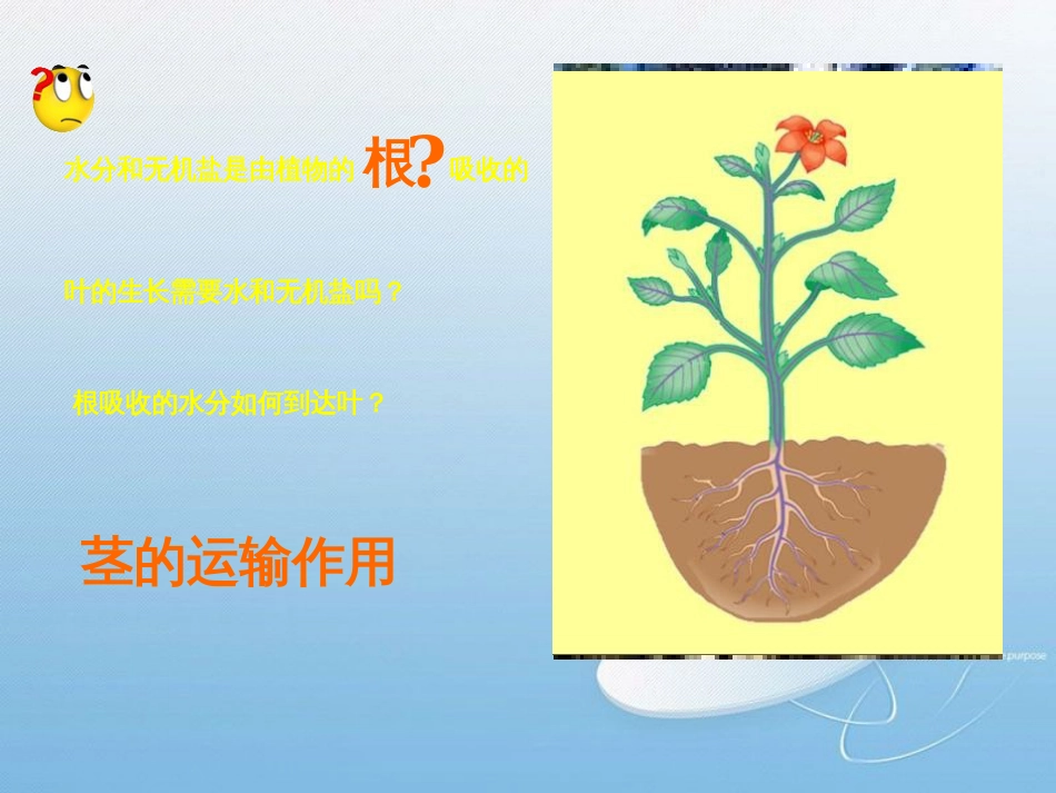 运输作用[共21页]_第2页