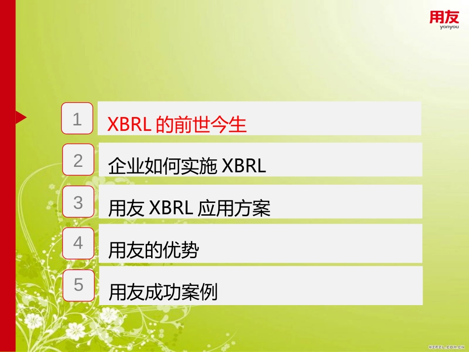 用友NCxbrl应用方案20130811_第2页