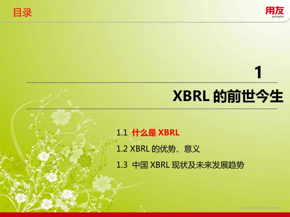 用友NCxbrl应用方案20130811_第3页