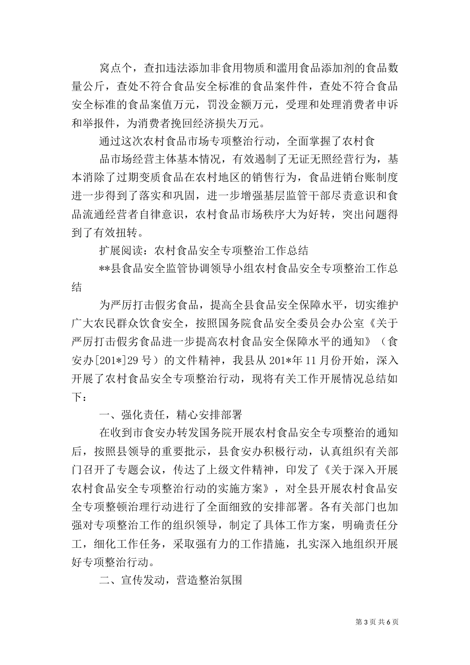 农村食品整治总结_第3页