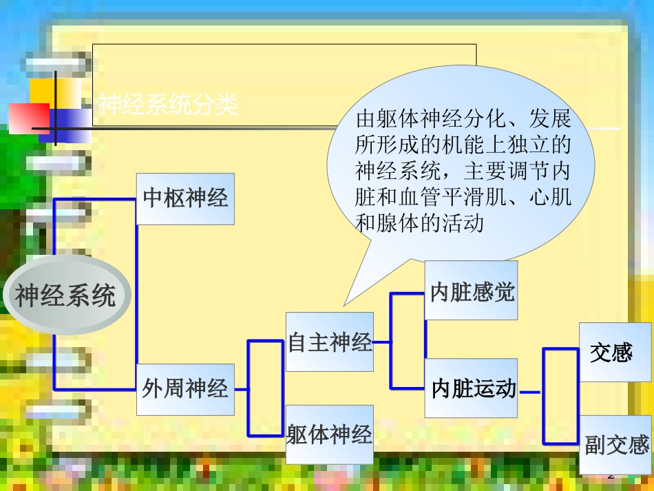 自主神经系统解剖和功能[共17页]_第2页