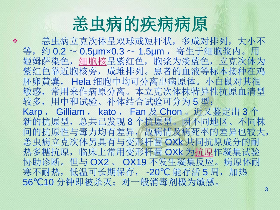 恙虫病的护理措施[共40页]_第3页