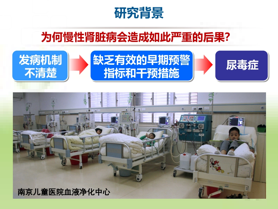 线粒体功能障碍与慢性肾脏病[共61页]_第3页