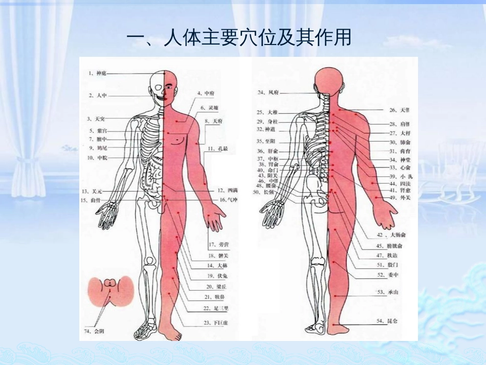 针灸学培训课件[共34页]_第2页
