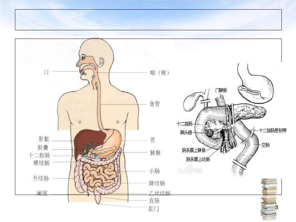 下消化道出血伴失血性休克护理查房[共36页]_第3页