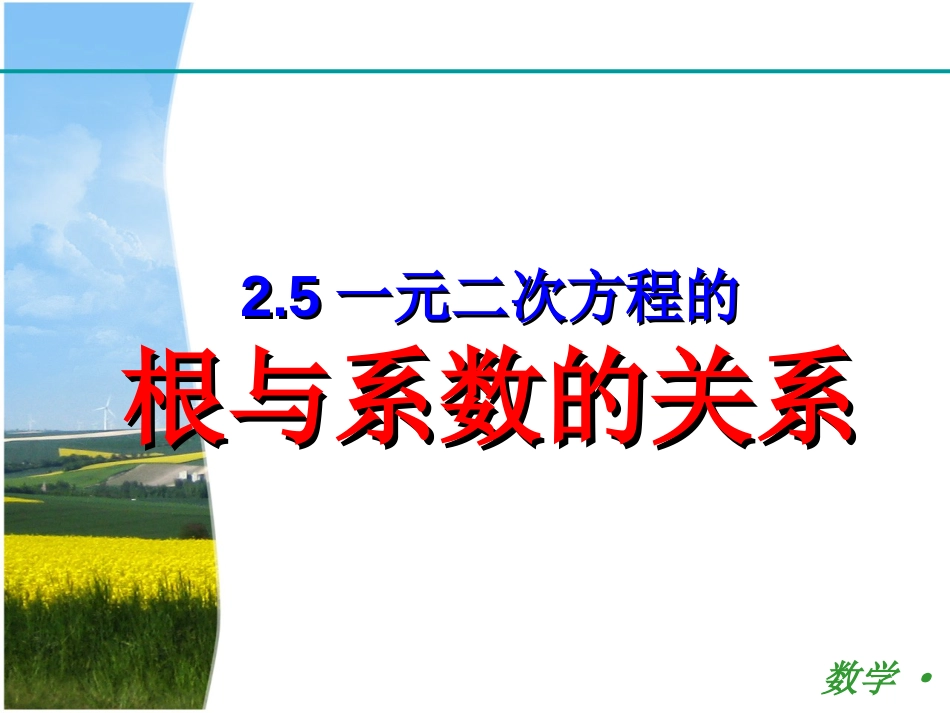 一元二次方程根与系数的关系(公开课)[共19页]_第1页