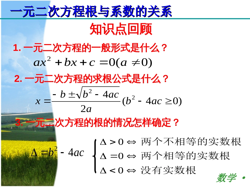 一元二次方程根与系数的关系(公开课)[共19页]_第2页