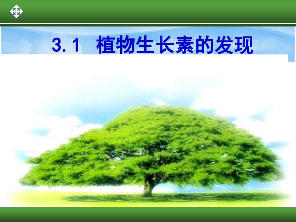 植物生长素的发现(1609)[共32页]_第2页