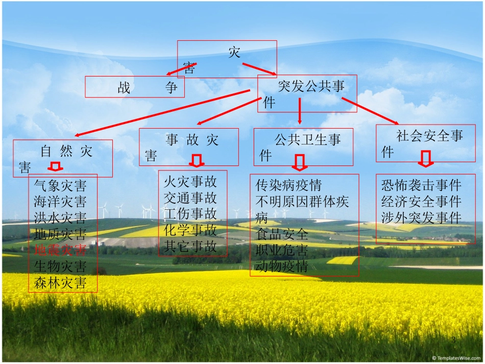 灾害医学概述[共41页]_第3页