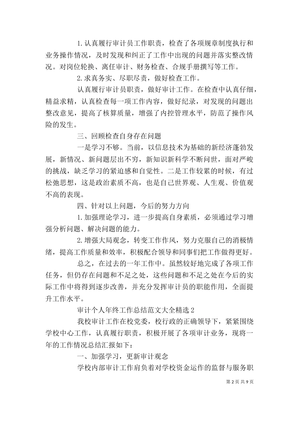 审计个人年终工作总结范文大全精选_第2页