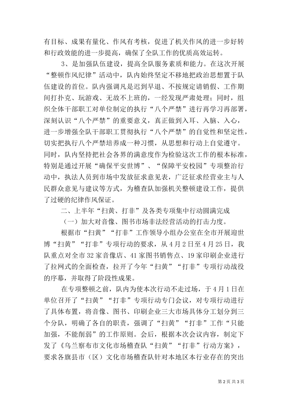 文化稽查队上半年工作总结_第2页