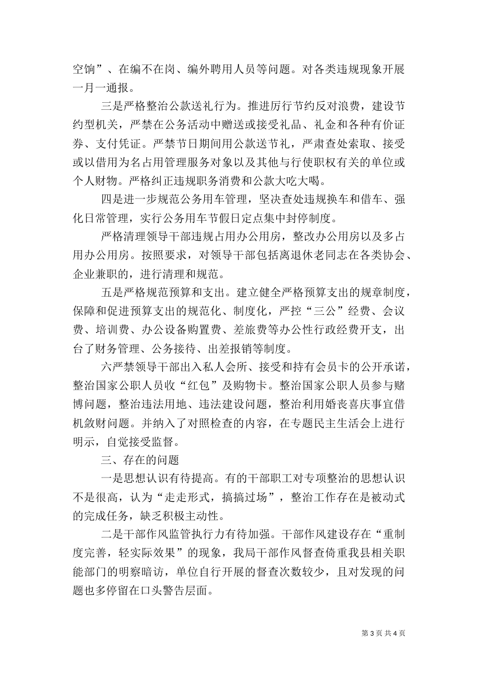 农业局2021年专项治理工作总结_第3页