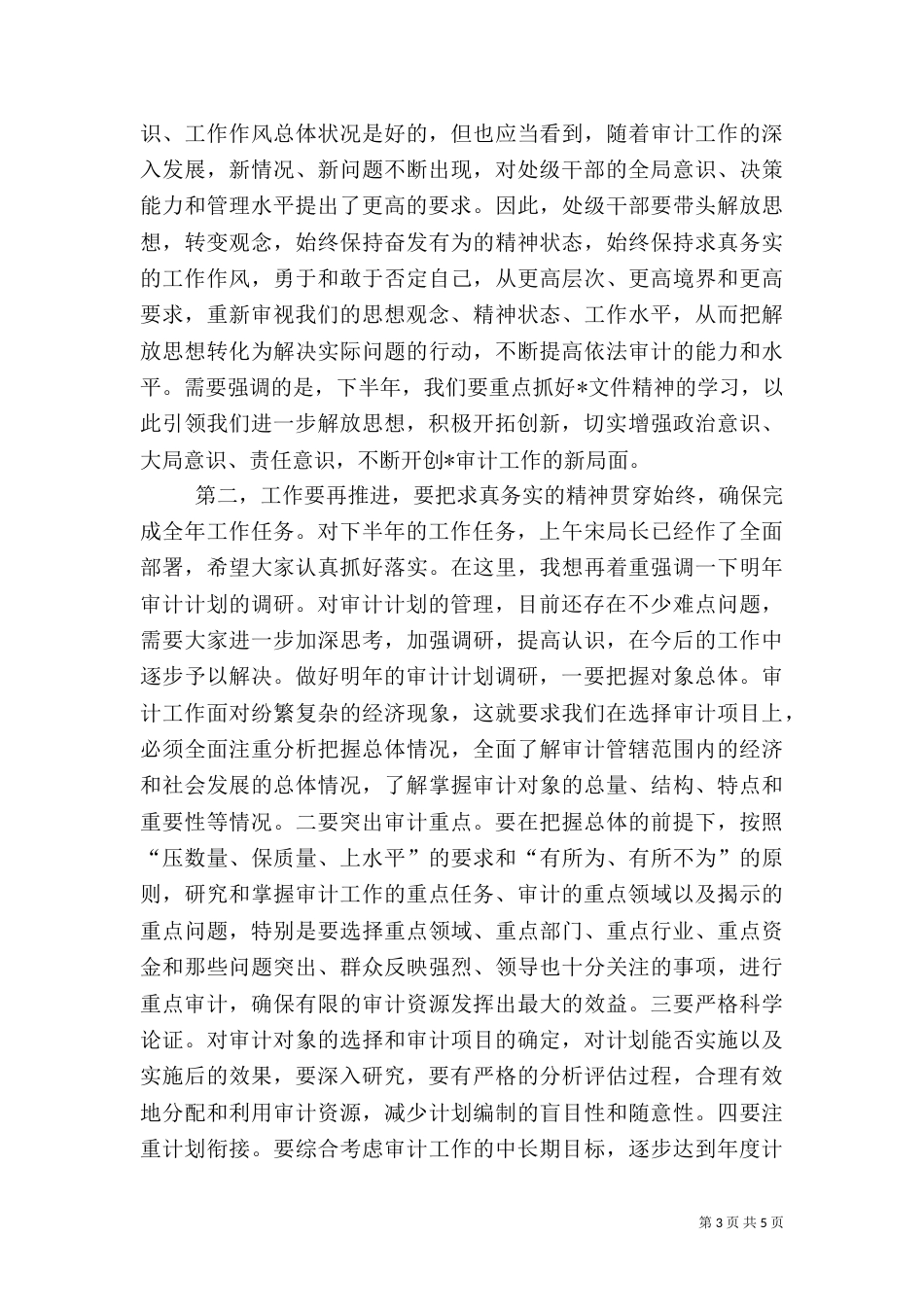 审计局工作总结讲话_第3页