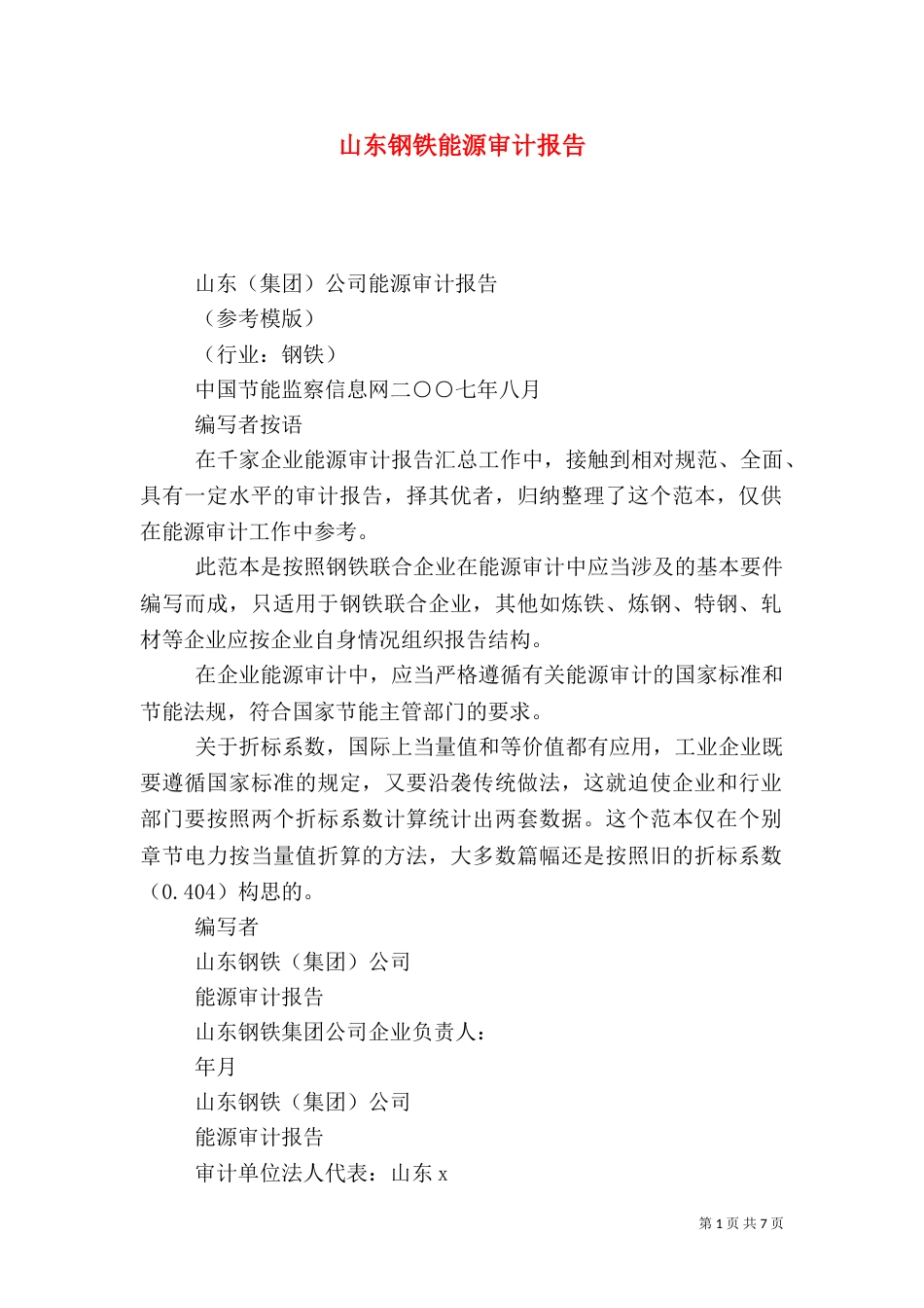 山东钢铁能源审计报告_第1页
