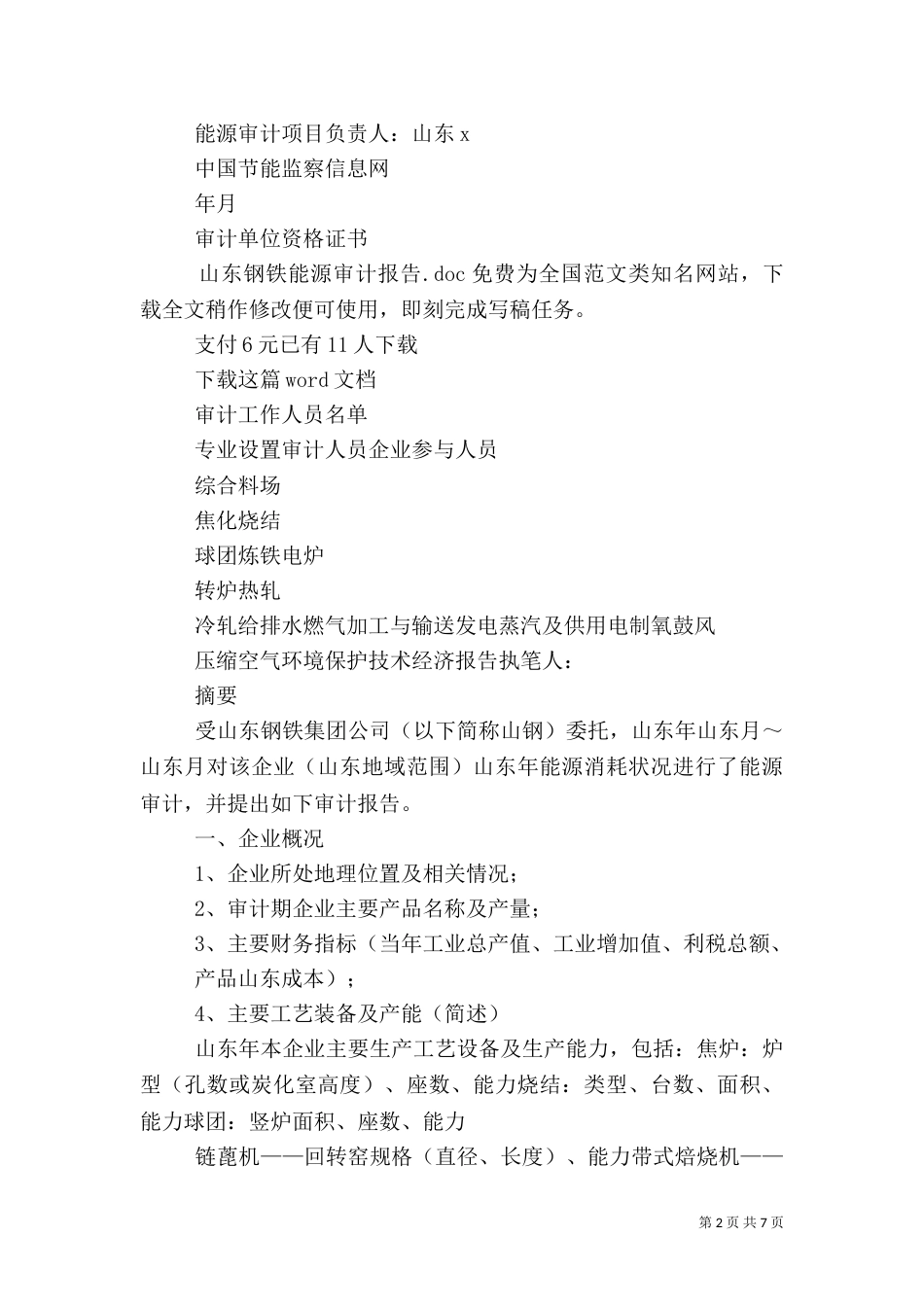 山东钢铁能源审计报告_第2页
