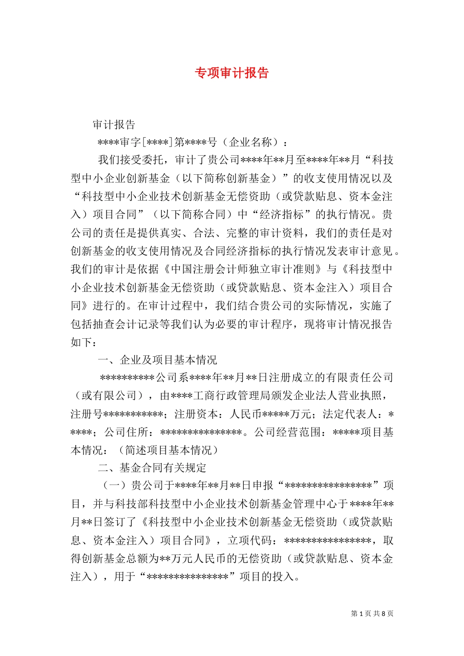 专项审计报告（一）_第1页