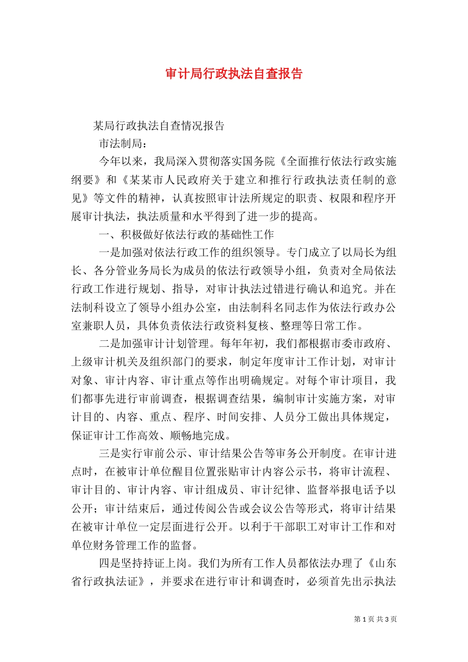 审计局行政执法自查报告（一）_第1页