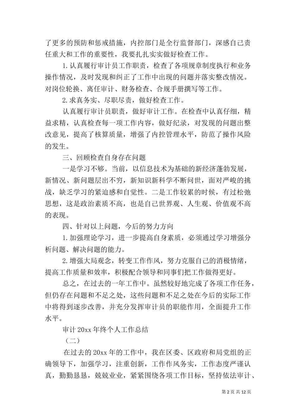 审计2021年终个人工作总结_第2页