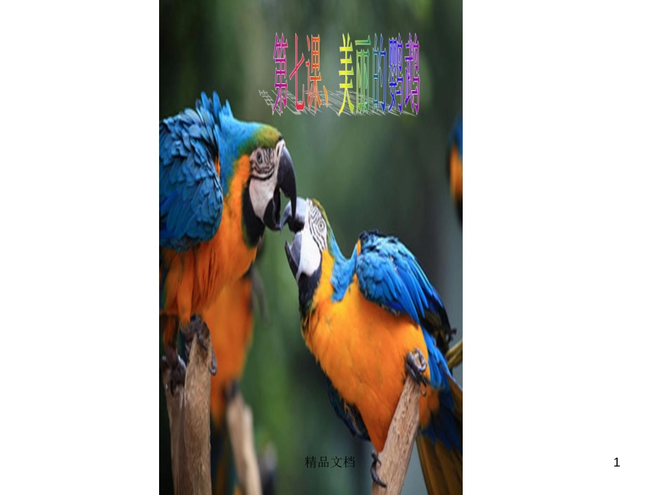 鹦鹉[共19页]_第1页