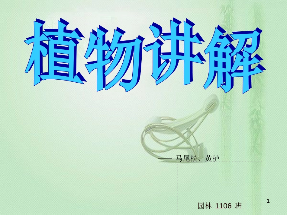 植物讲解ppt[共14页]_第1页