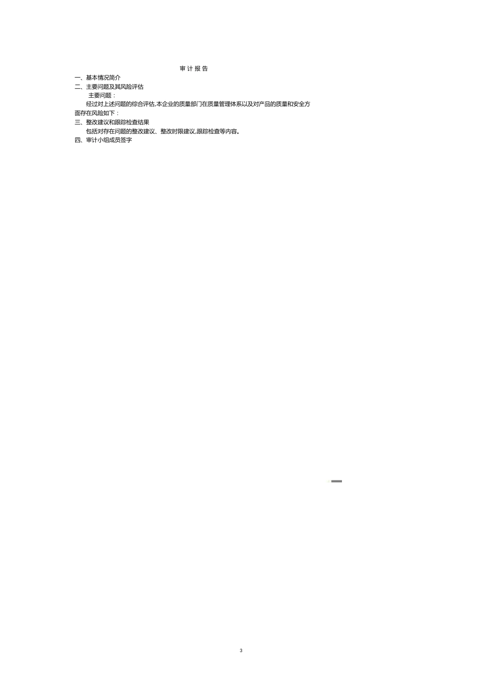 药品生产企业内部审计个模版_第3页