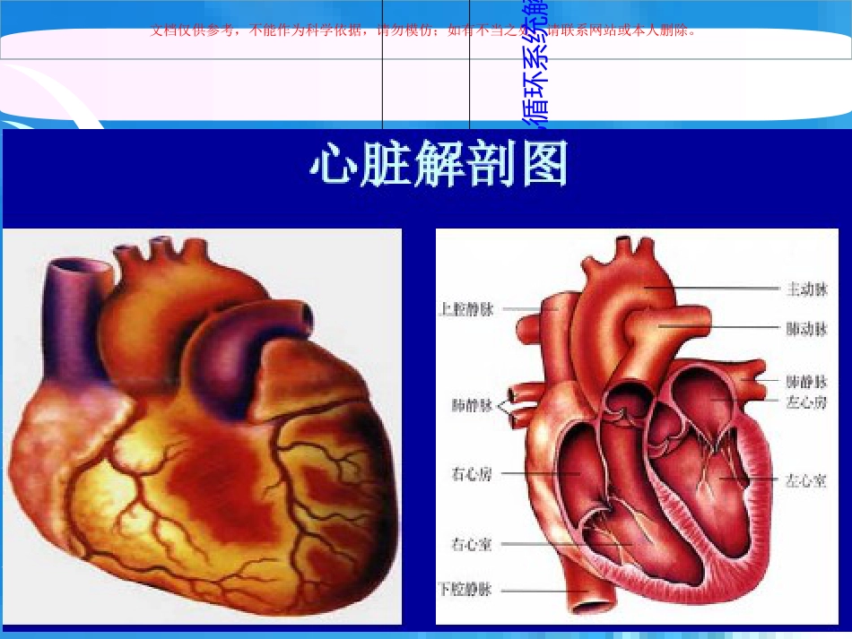 循环系统疾病患儿的护理课件_第2页