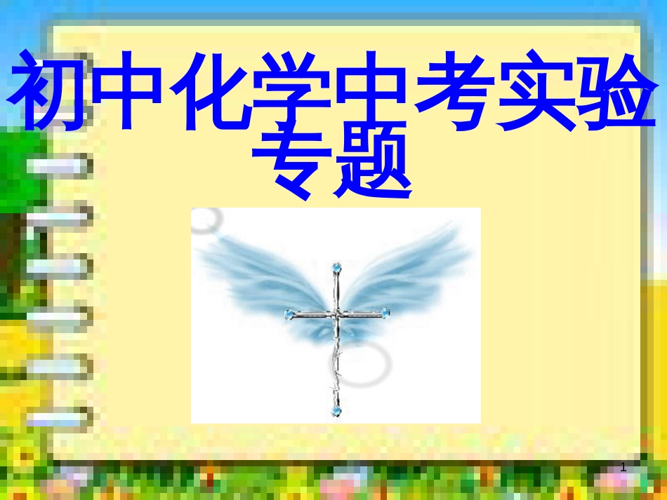 专题复习--初中化学全部实验内容[共182页]_第1页