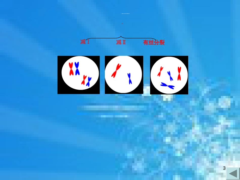 有丝分裂和减数分裂判断图解[共27页]_第3页
