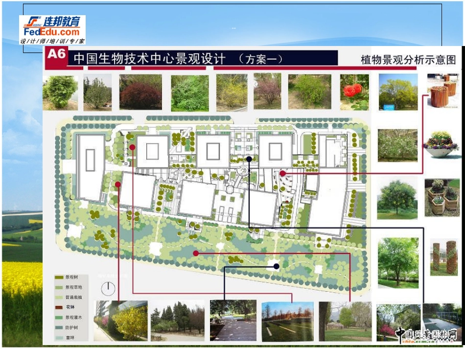 植物景观表现[共28页]_第3页