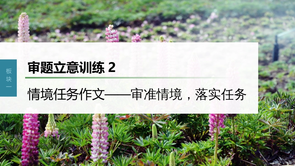 高中语文高考复习板块1 语言策略与技能 审题立意训练2　情境任务作文—审准情境，落实任务_第1页