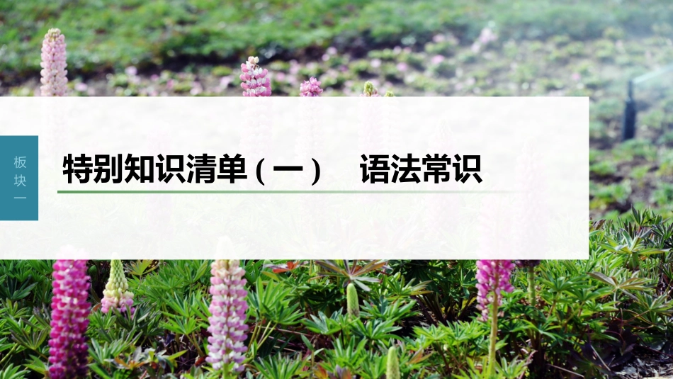 高中语文高考复习板块1 语言策略与技能 特别知识清单(1)　语法常识_第1页