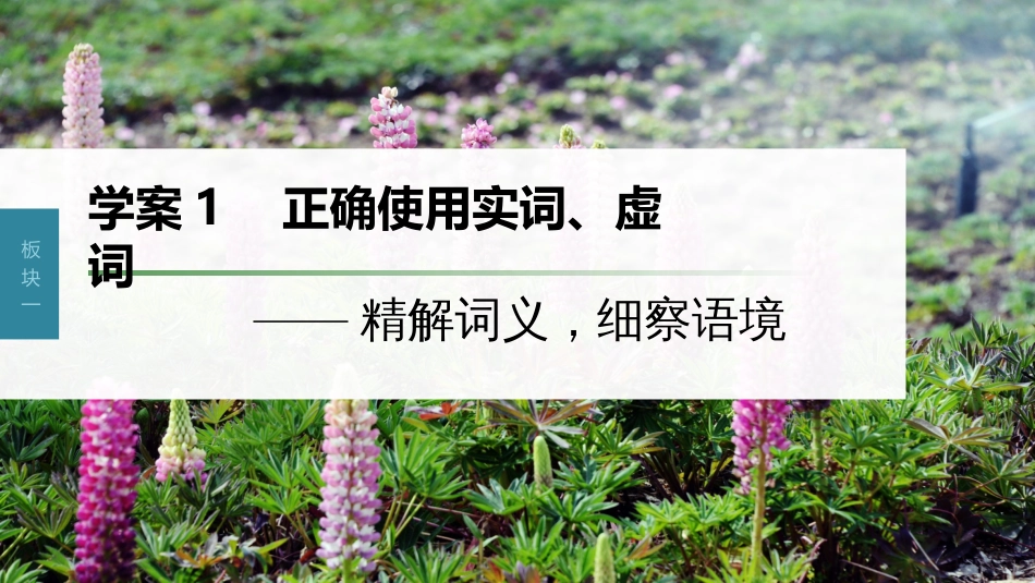 高中语文高考复习板块1 语言策略与技能 学案1　正确使用实词、虚词—精解词义，细察语境_第1页