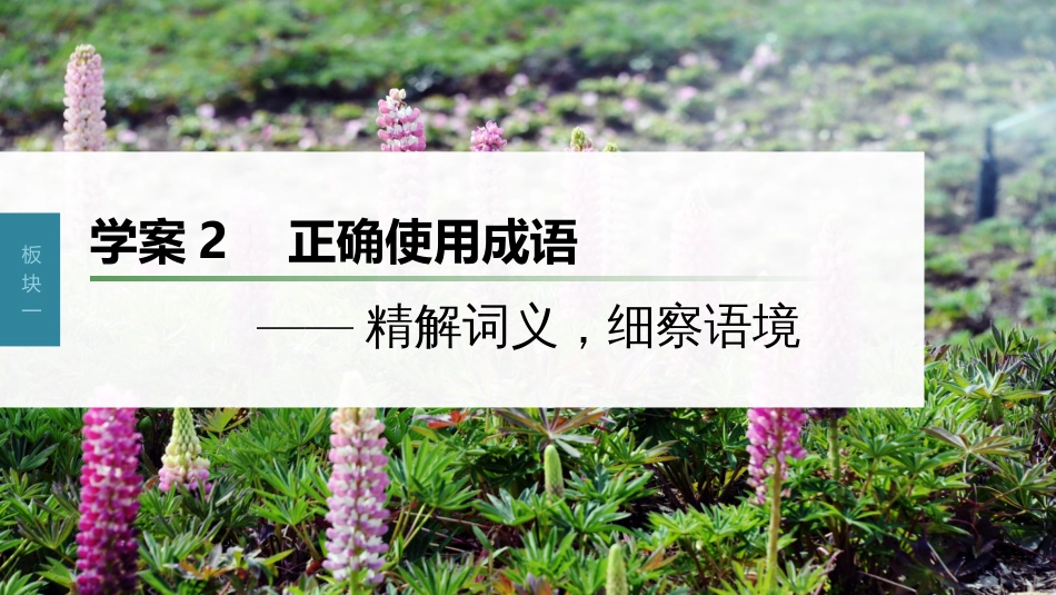 高中语文高考复习板块1 语言策略与技能 学案2　正确使用成语—精解词义，细察语境_第1页