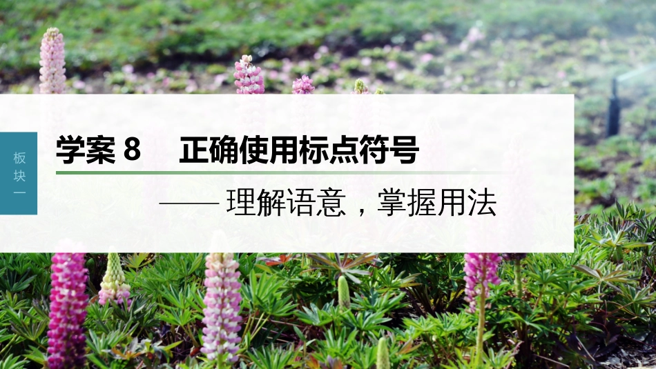 高中语文高考复习板块1 语言策略与技能 学案8　正确使用标点符号—理解语意，掌握用法_第1页