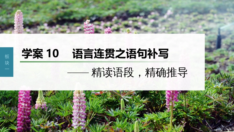 高中语文高考复习板块1 语言策略与技能 学案10　语言连贯之语句补写—精读语段，精确推导_第1页