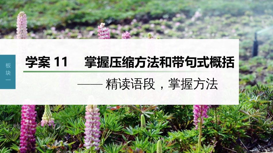 高中语文高考复习板块1 语言策略与技能 学案11　掌握压缩方法和带句式概括—精读语段，掌握方法_第1页